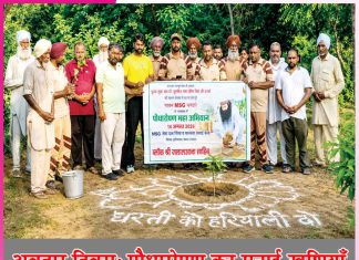 Avatar Diwas