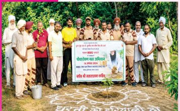 Avatar Diwas