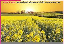 Experiences of Satsangis: बेटा, ऑपरेशन (सर्जरी ) नहीं होगा! -सत्संगियों के अनुभव Experiences of Satsangis