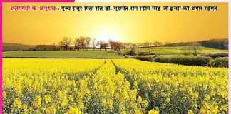 Experiences of Satsangis: बेटा, ऑपरेशन (सर्जरी ) नहीं होगा! -सत्संगियों के अनुभव Experiences of Satsangis