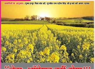 Experiences of Satsangis: बेटा, ऑपरेशन (सर्जरी ) नहीं होगा! -सत्संगियों के अनुभव Experiences of Satsangis