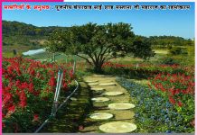 Experiences of Satsangis: खबरदार! किसी को नहीं बताना! -सत्संगियों के अनुभव Experiences of Satsangis