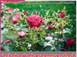 Experiences of Satsangis: हमने इसे सच्चे सौदे का हवलदार बना दिया है -सत्संगियों के अनुभव Experiences of Satsangis