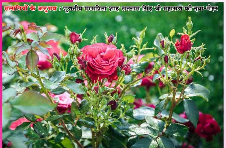 Experiences of Satsangis: हमने इसे सच्चे सौदे का हवलदार बना दिया है -सत्संगियों के अनुभव Experiences of Satsangis