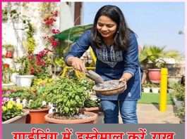 Ashes: गार्डनिंग में इस्तेमाल करें राख Ashes