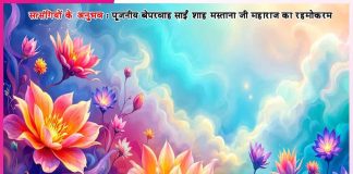 Experiences of Satsangis: बस कर! तू क्या समझता है! -सत्संगियों के अनुभव Experiences of Satsangis