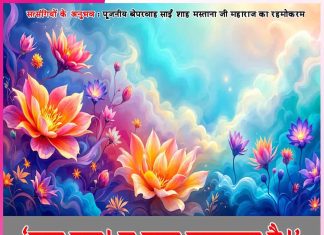 Experiences of Satsangis